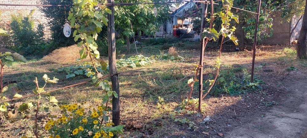 Quruq erni o'zi sotama