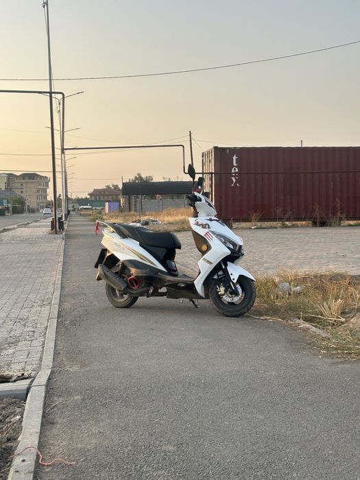Мопед м10 в идеальном состояний