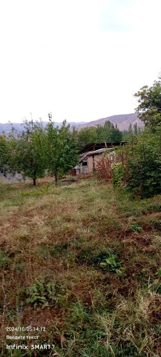 Boʻstonliq Hondoyliq qishlogʻida yer sotiladi