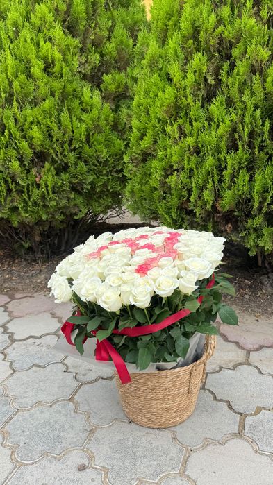 101 Роза цветы свежие