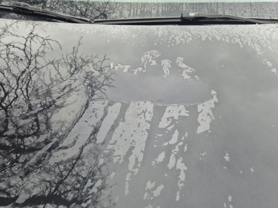 Audi Q5 2010 2.0 170CP