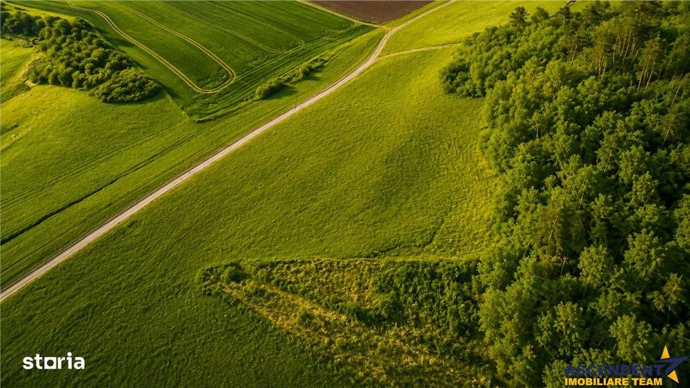 6.000 mp teren granitat de liziera compacta de padure, ecran natural d