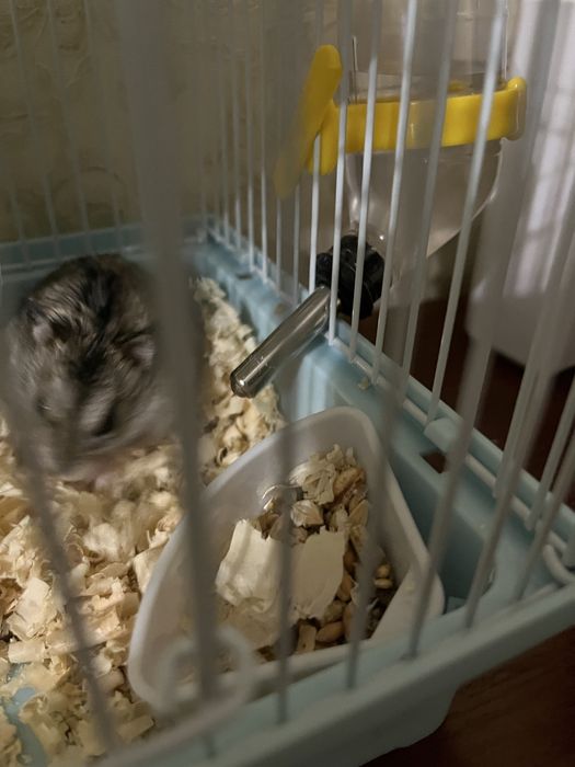 Клетка для хомяков