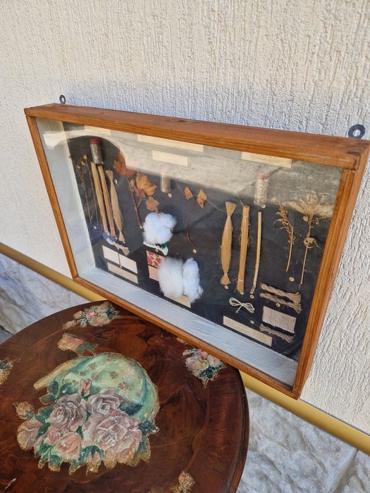 Страхотно антикварно пано - Влакнодайни култури