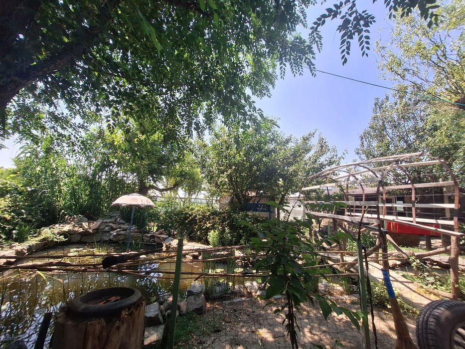 Vand casa I.C.Bratianu, Jud. Tulcea