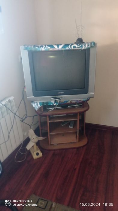 Домашние гуси и т.д