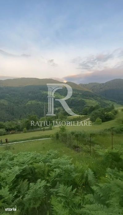 Teren 10.900mp | Panoramă în Apuseni | Remeți -Ideal pentru Investitii