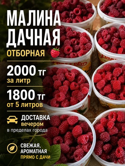 Свежая вкусная Малина