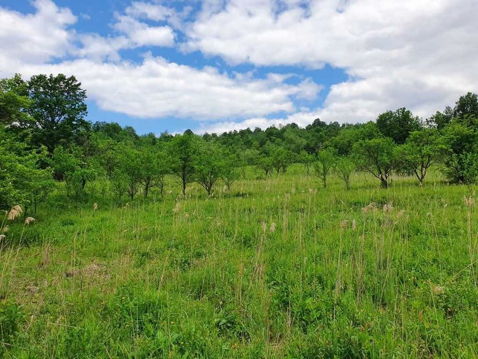 24.500mp - TEREN INVESTIȚII-1.6€/ mp Camping/Pensiune/Turism PANORAMĂ