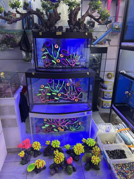 Akvarium yengi va sifatli