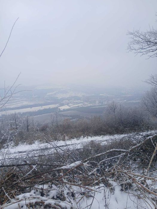Къща в село Голяма Брестница