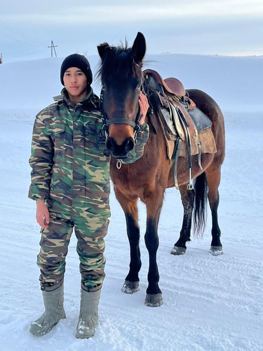 Кобыла жеребая 6лет