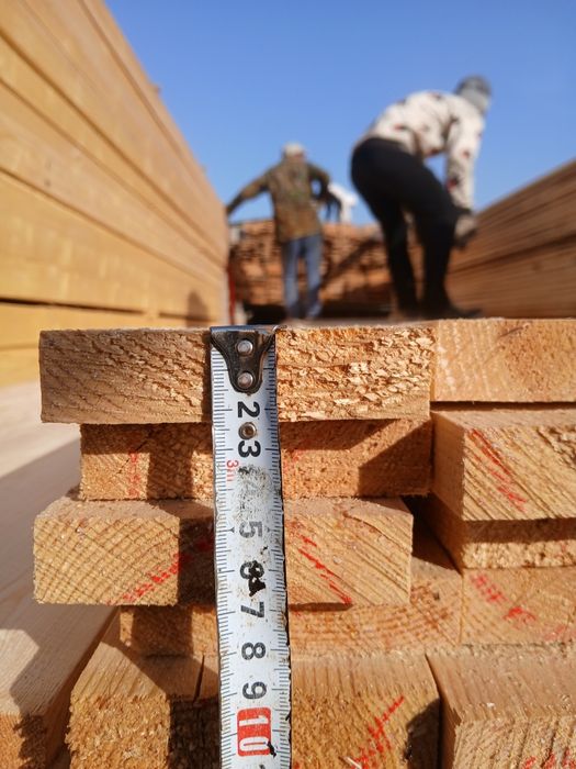 Страпила абришотка