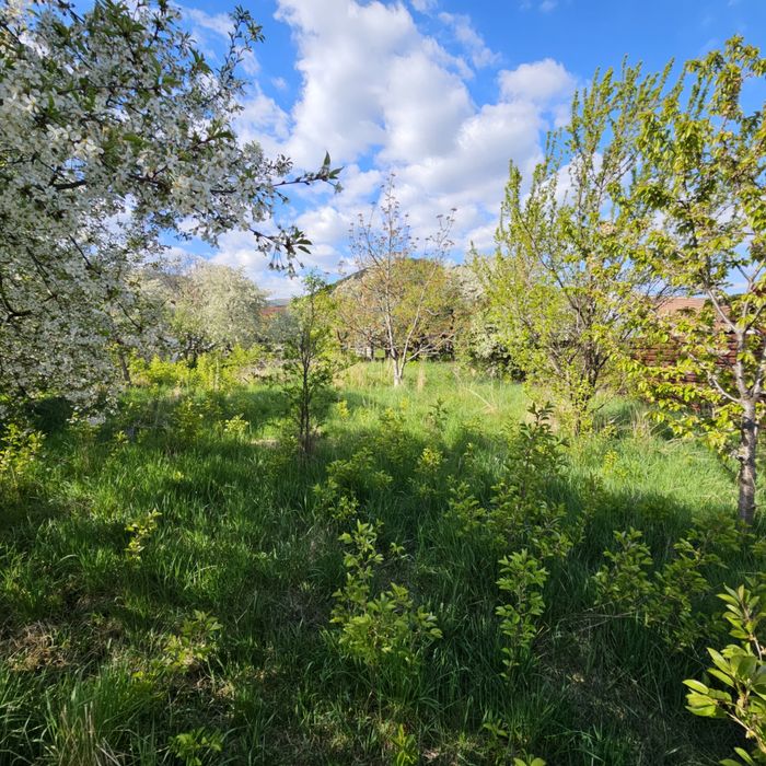 Casa de vânzare în: RĂȘINARI-Marginimea SIBIULUI