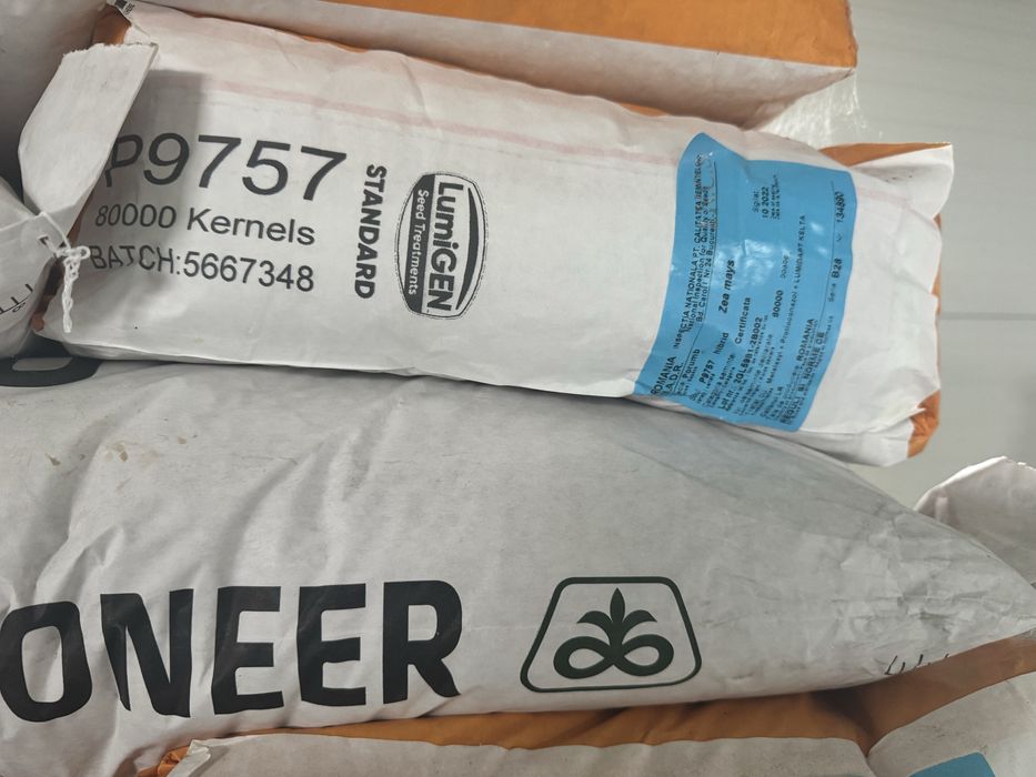 Samanta porumb p9757