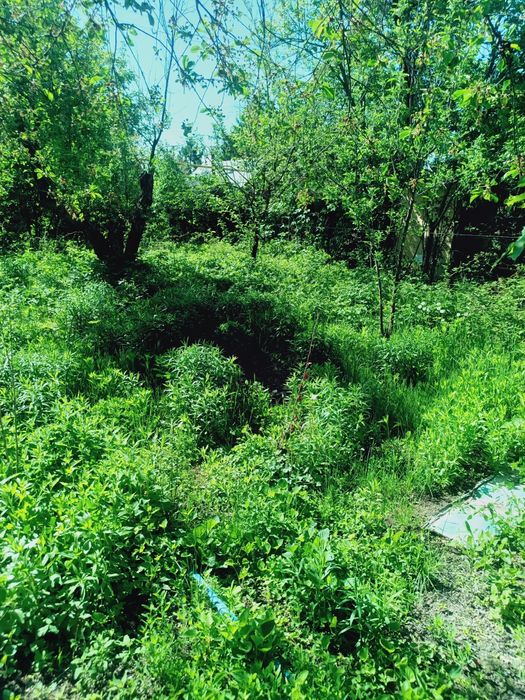 Продам дачу срочно