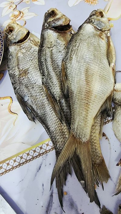 Продам карась, вобла сушеный