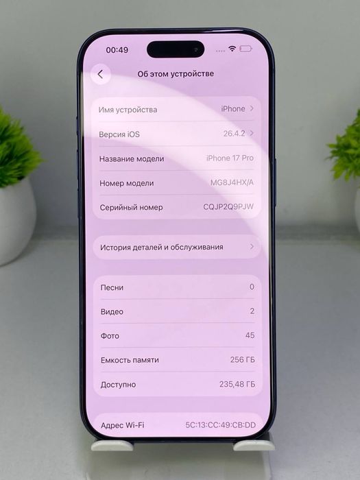 iPhone 17 Pro / 256 gb / EAC