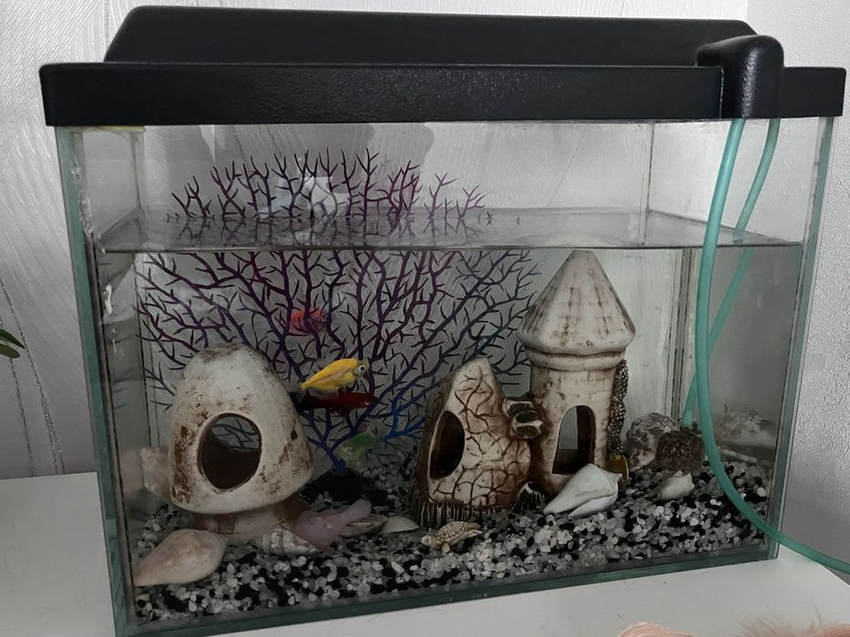 Продается Аквариум 15л с моторчиком