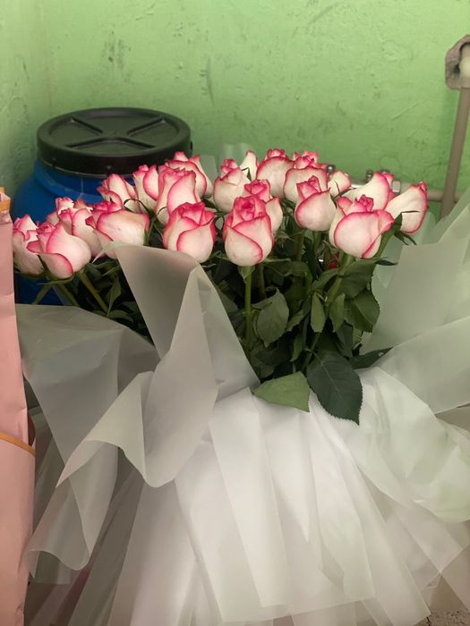 Продам цветы