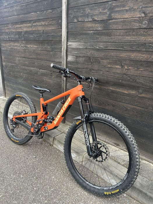 Santa cruz bronson