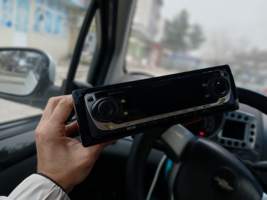 Pioneer delfin mafon