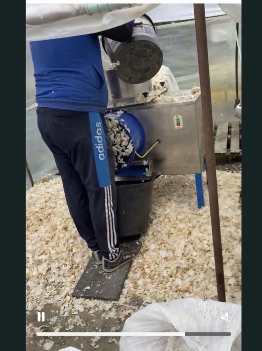 Desfacem Usturoi cantitati mari