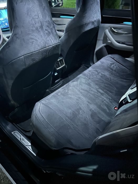 BYD chempion smart