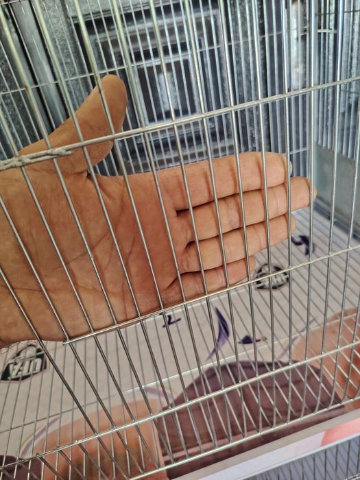 Продам валер для птиц