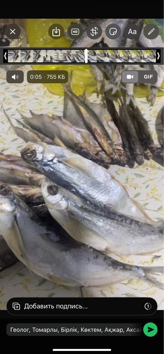 Чехня чехон балығы рыбы