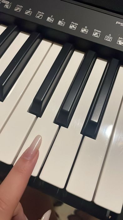 Cursuri de pian și orga, înregistrare melodii, Negative