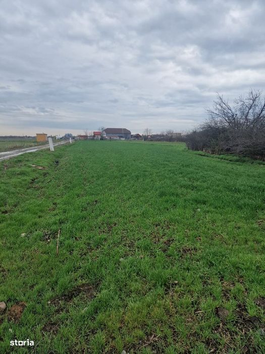 Teren intravilan Fundulea 1.000 mp | Parcelabil  | Utilități