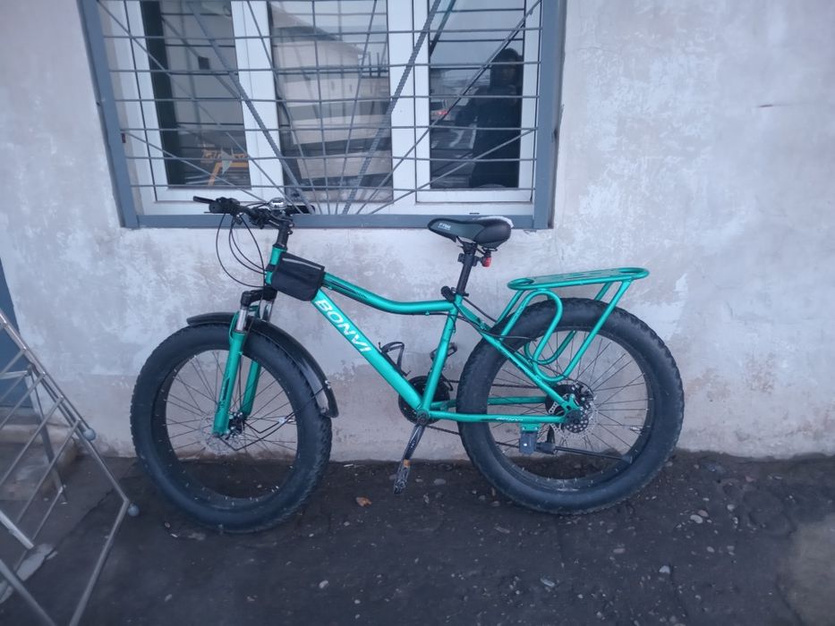 Tog'veligi 26/4 balon