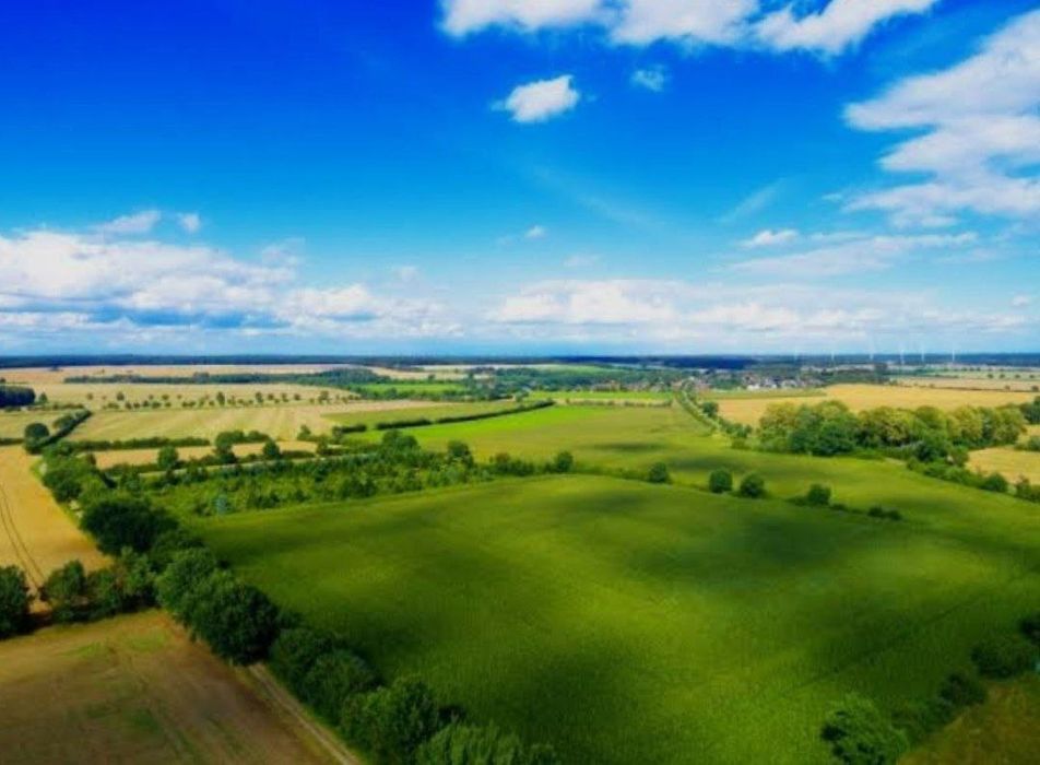 Продаётся земельный земельный участок, Учхоз, Алишеробод,