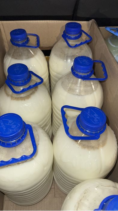 Қымыз шұбат құрт ірімшік