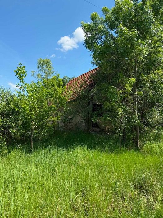 Proprietate 5.035 mp cu 3 case și teren intravilan – Mînerău, Arad