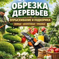 Уборка территории