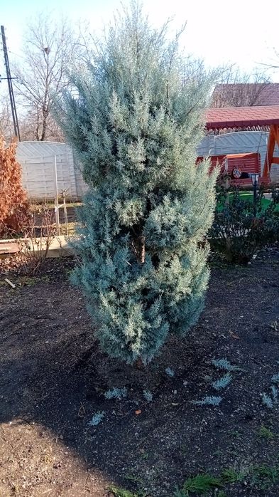 Amenajări grădini de la zero