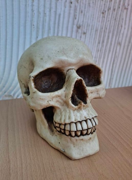 Реалистична статуетка на череп