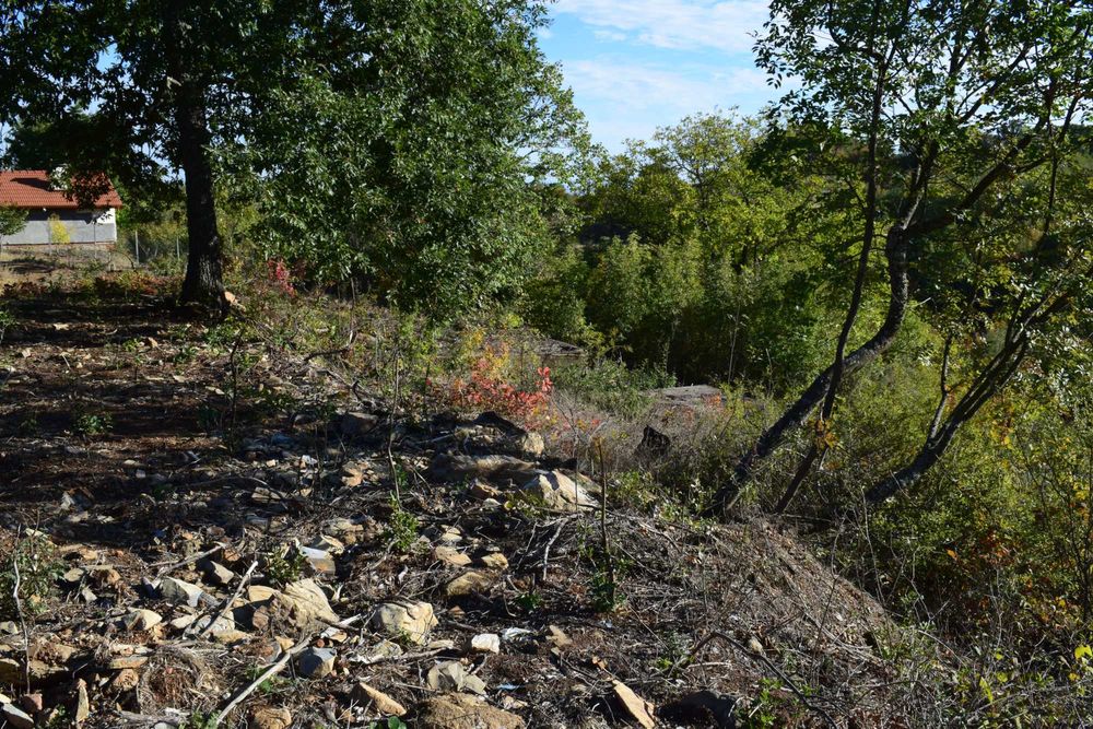 Парцели-Вилна зона 7-ми километър