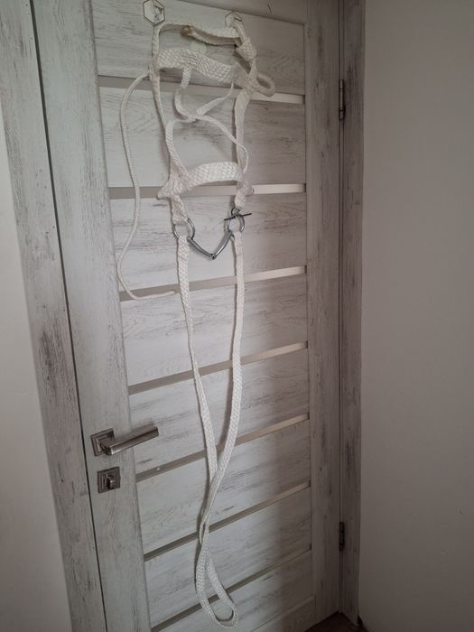 Продам недоуздок для жеребенке