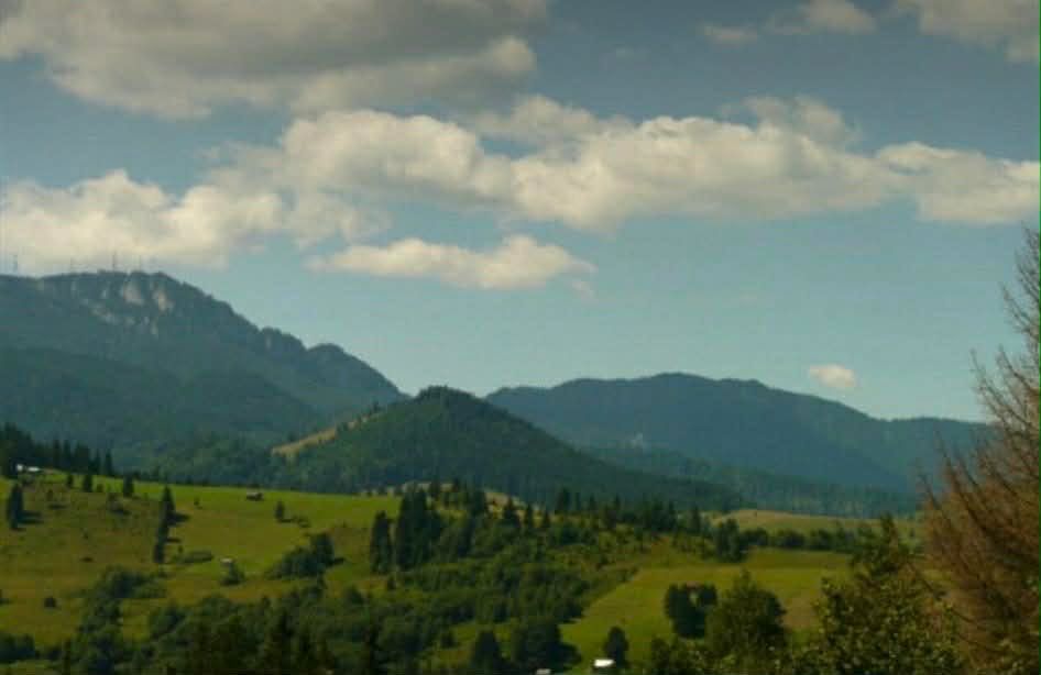 Teren de vânzare 7649 mp - zona Șandru (Bucovina)