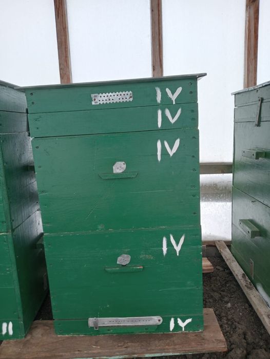 10 ульев от "дедушки"