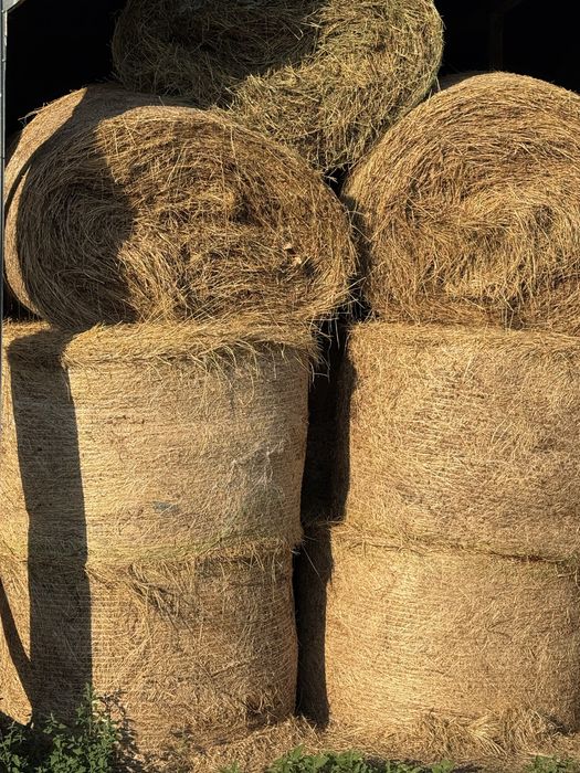 Baloti rotunzi mari lucerna