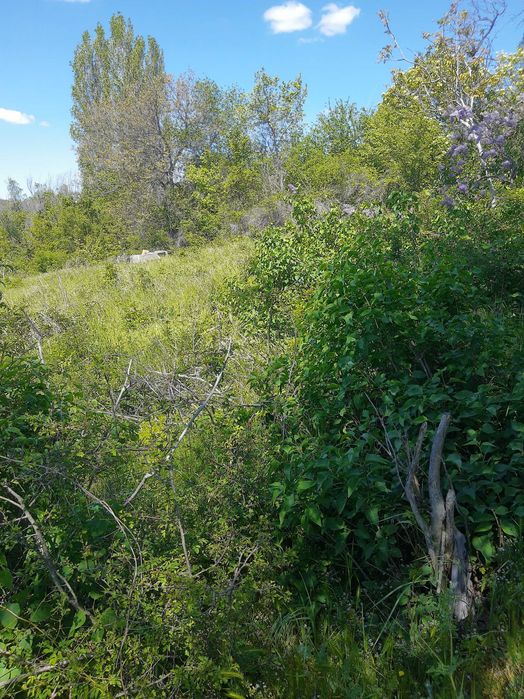 Продава се Парцел в Варна, Базар Левски - 2107 кв.м за 99 €/кв.м - Снимка #11