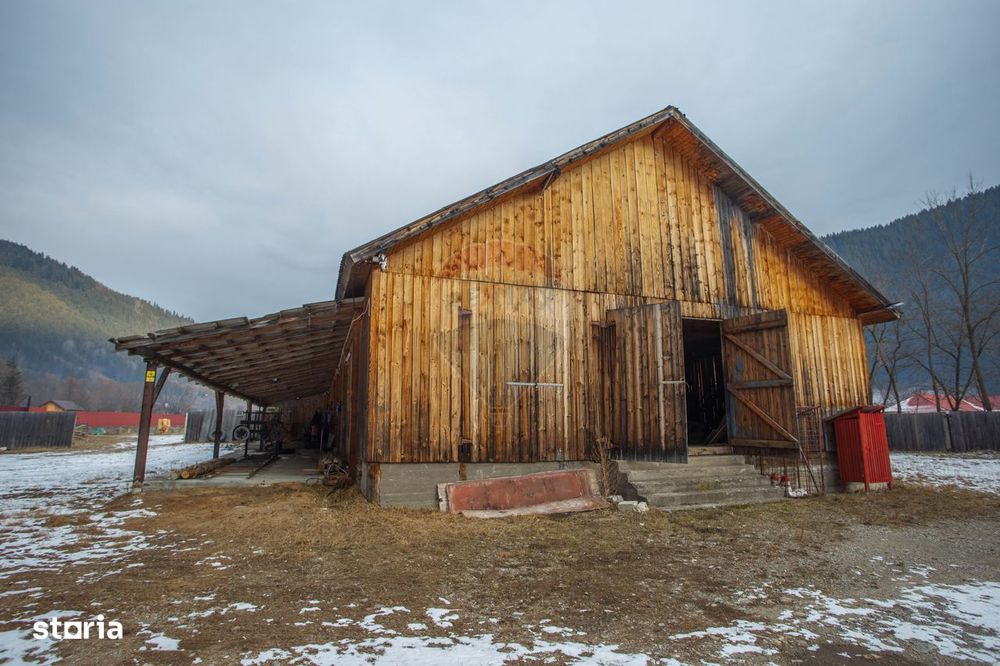 De vanzare| Hala industriala + teren, post trafo propriu, Borca, Neamt