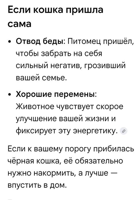 Котята  красотульки.