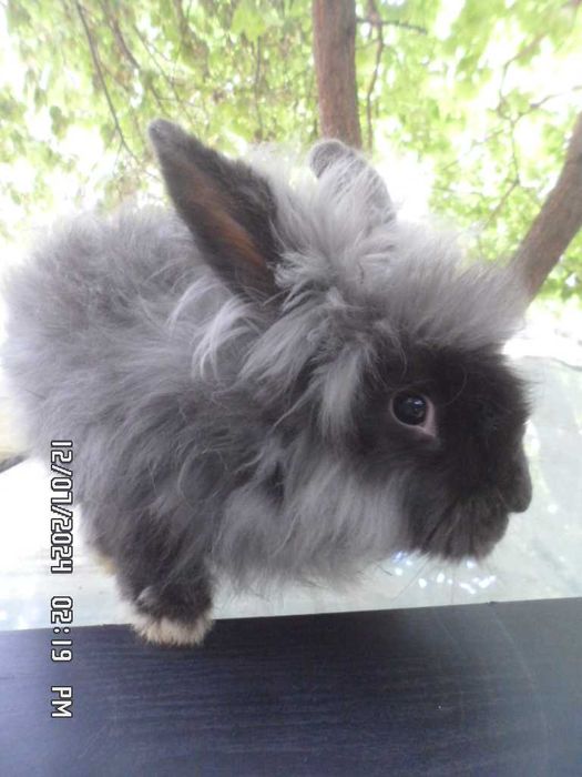 мода разное одежда