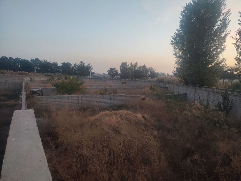 Uch qaxramon postdan 5-6 km kirganda yer sotiladi