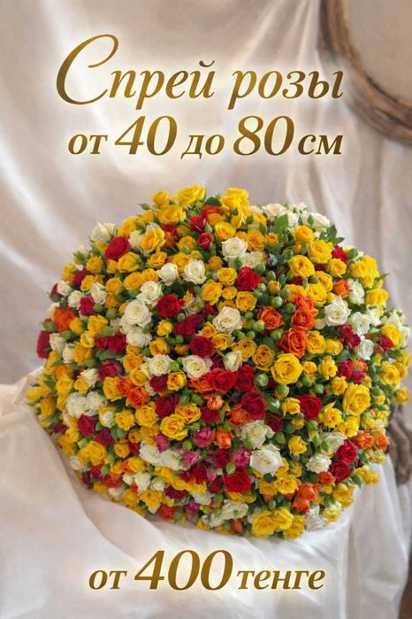 Розы и спрей розы от 400 тг
